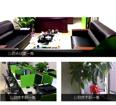  徐州网络公司